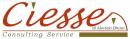 Professionista individuale- CIESSE Consulting Service