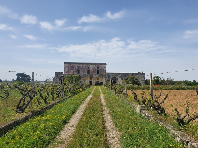 Casa colonica plurilocale in vendita a Monteroni di Lecce - Casa colonica plurilocale in vendita a Monteroni di Lecce