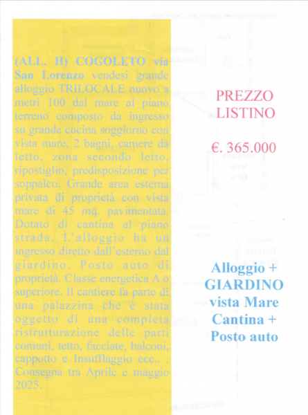 immagine annuncio 4 di 5