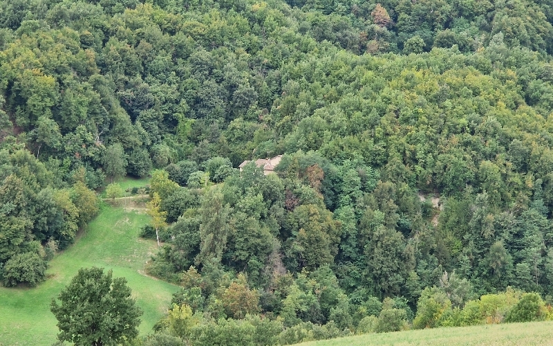 Rustico / casale plurilocale in vendita a Guiglia - Rustico / casale plurilocale in vendita a Guiglia