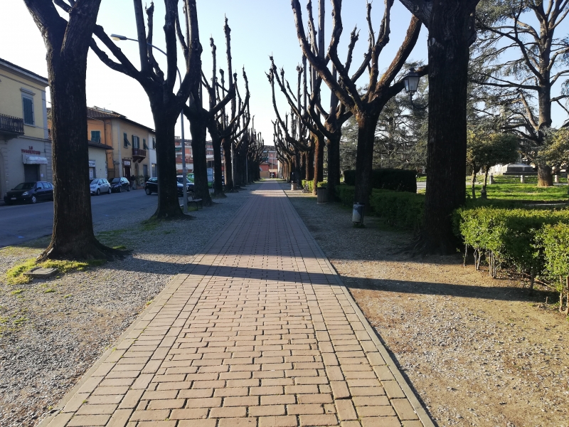 immagine annuncio 1 di 3