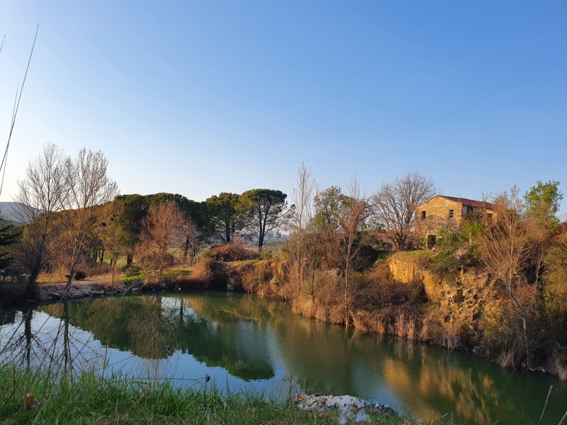 casa indipendente in vendita a Gavorrano in zona Ravi