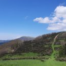 Terreno commerciale in affitto a Gavorrano