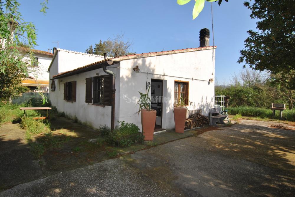 Stabile intero quadrilocale in affitto a collesalvetti - Stabile intero quadrilocale in affitto a collesalvetti