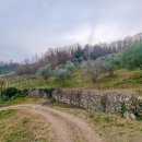 Terreno agricolo monolocale in vendita a montecchio-maggiore