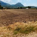 Terreno agricolo in vendita a Capaccio