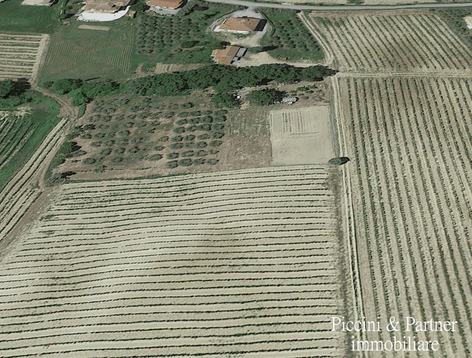 Terreno agricolo plurilocale in vendita a montepulciano - Terreno agricolo plurilocale in vendita a montepulciano