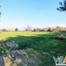 Terreno agricolo in vendita a Fondi