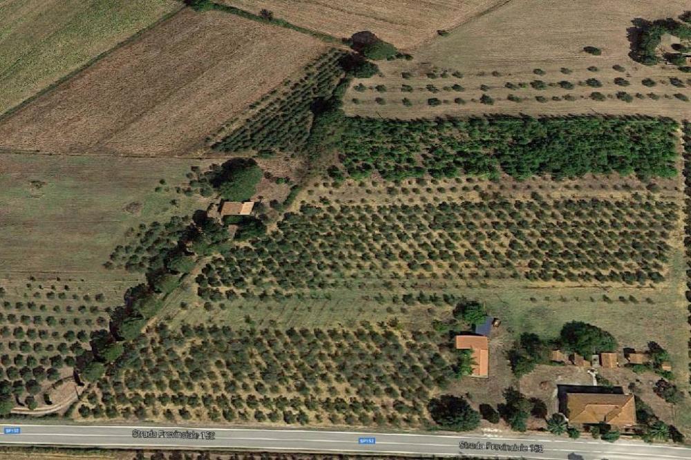 immagine annuncio 2 di 3