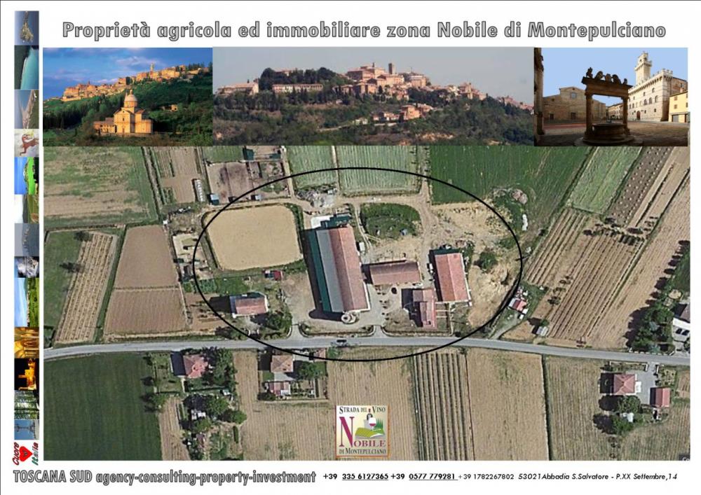 Azienda agricola plurilocale in vendita a montepulciano - Azienda agricola plurilocale in vendita a montepulciano