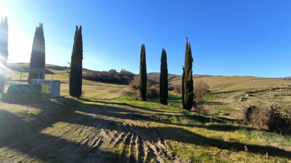 Azienda agricola bilocale in vendita a Voltole - Azienda agricola bilocale in vendita a Voltole