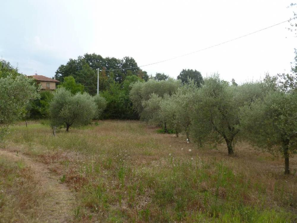 Rustico / casale plurilocale in vendita a sorano - Rustico / casale plurilocale in vendita a sorano