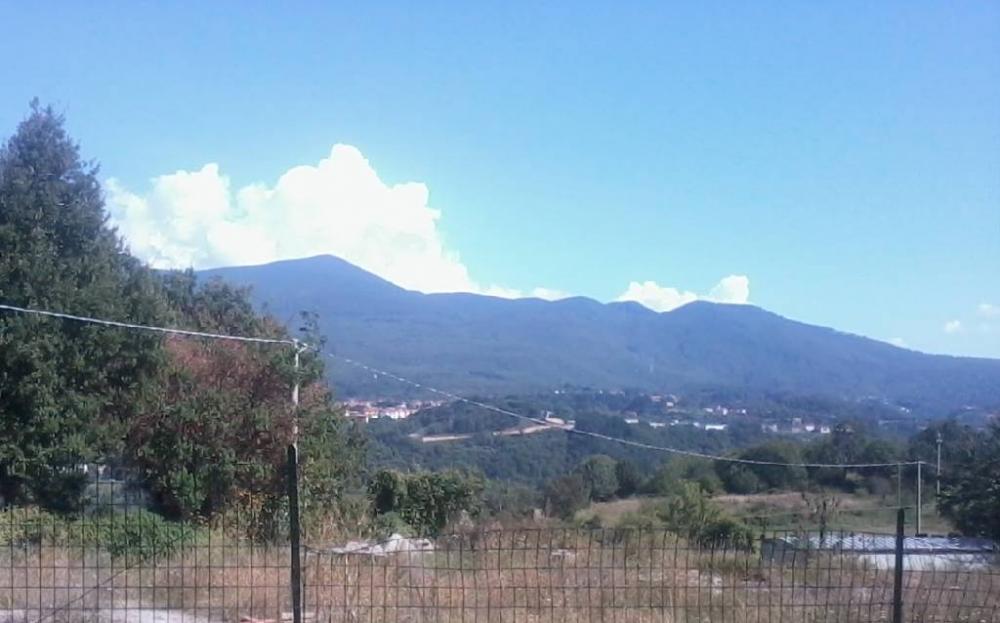 immagine annuncio 1 di 3