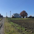 Azienda agricola plurilocale in vendita a cinigiano