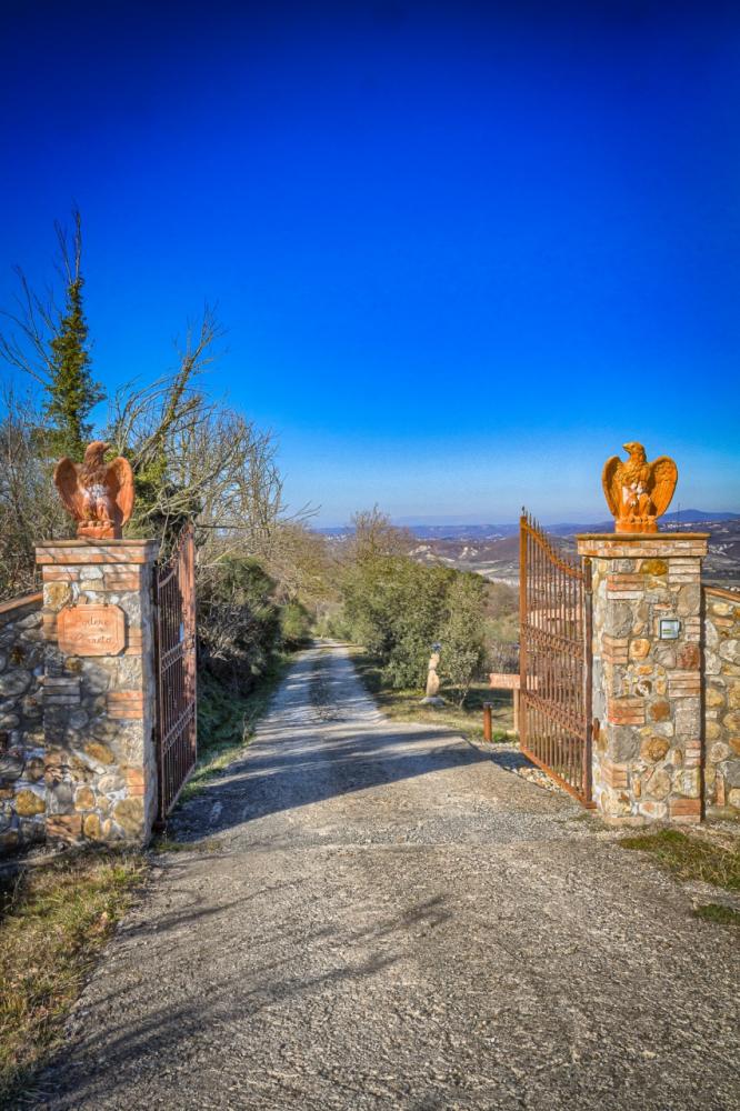 immagine annuncio 3 di 4