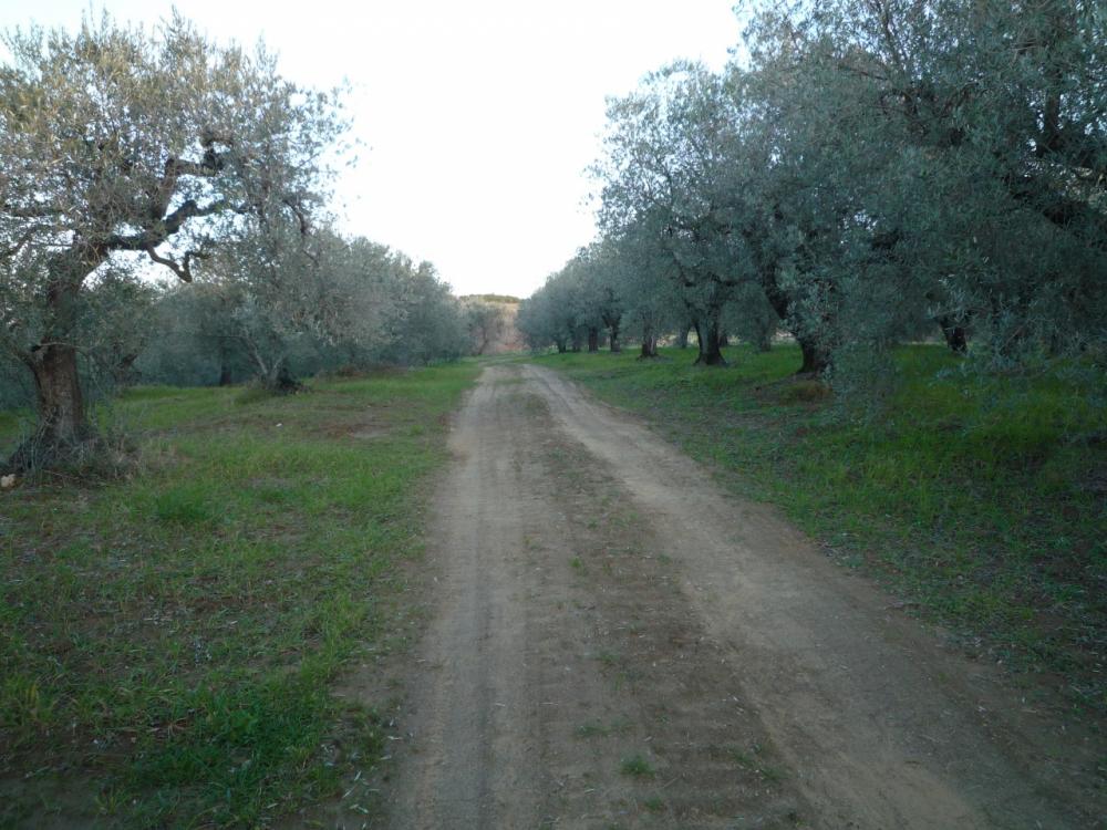 immagine annuncio 3 di 4