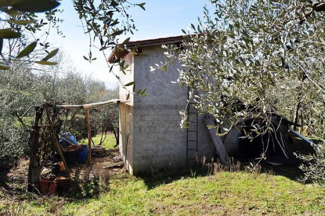 terreno residenziale in vendita a Terranuova Bracciolini