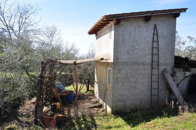 immagine annuncio 1 di 4