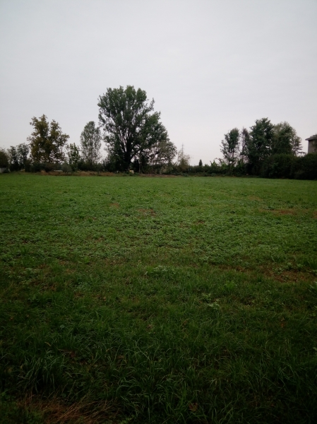immagine annuncio 1 di 3