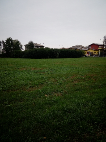 immagine annuncio 2 di 3