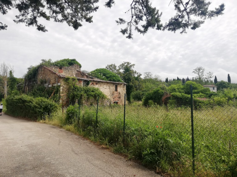 immagine annuncio 2 di 4