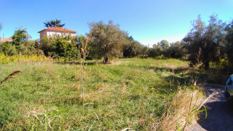 immagine annuncio 3 di 4