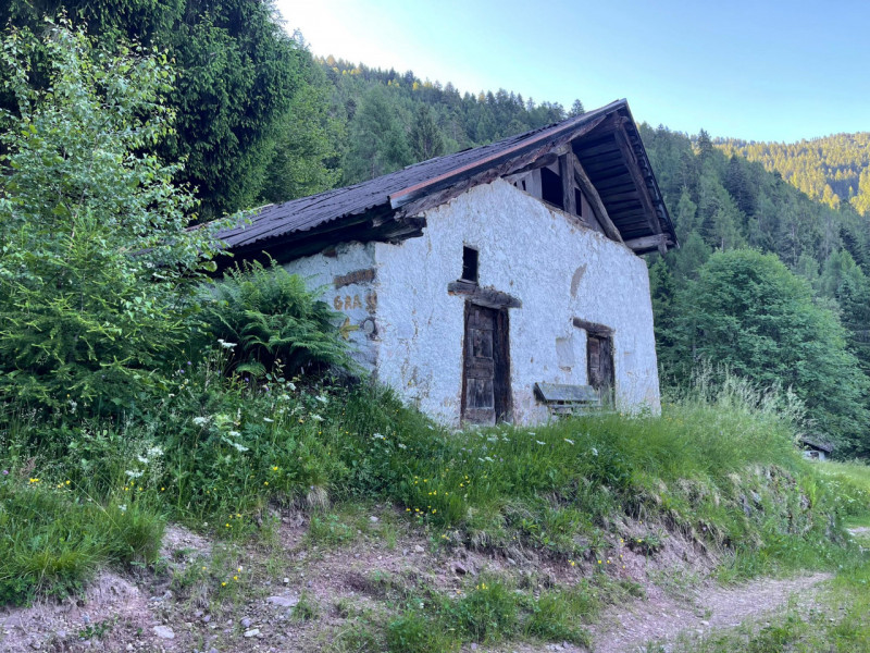 Rustico / casale in vendita a bocenago - Rustico / casale in vendita a bocenago