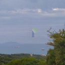 Stabile intero plurilocale in vendita a livorno