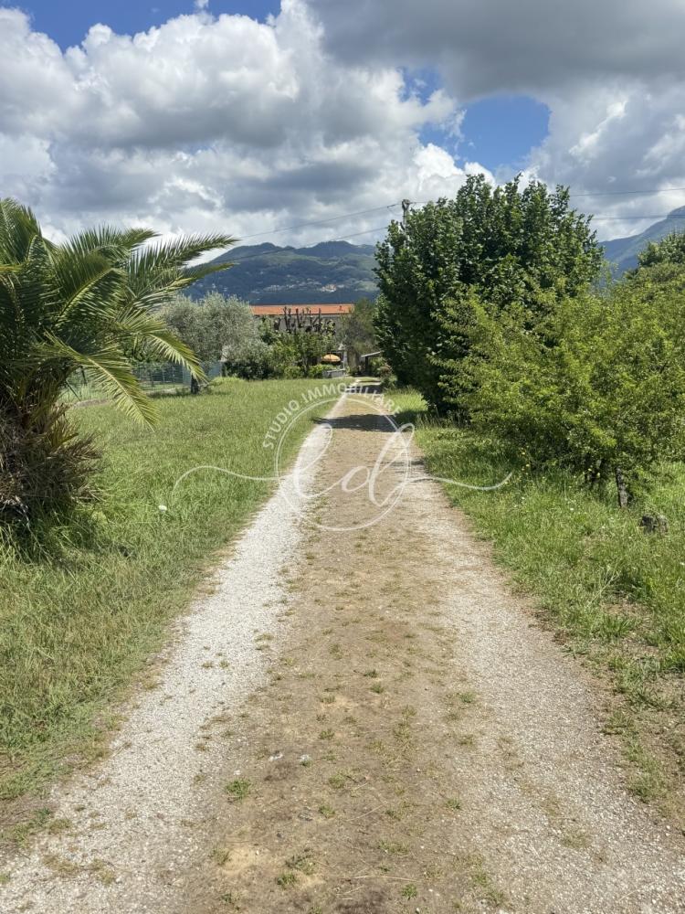 casa indipendente in vendita a Pietrasanta in zona Marina di Pietrasanta