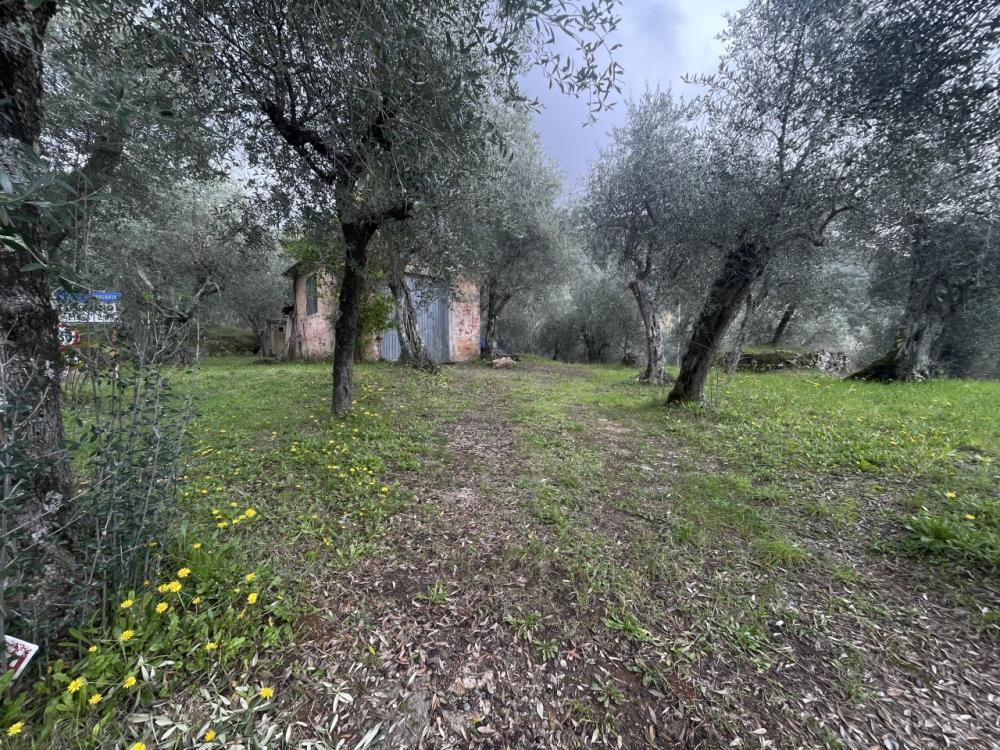 immagine annuncio 1 di 4