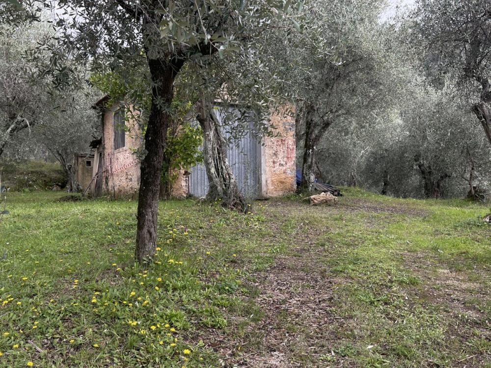 immagine annuncio 2 di 4