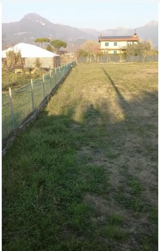 immagine annuncio 2 di 3