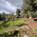 Villa indipendente plurilocale in vendita a narni