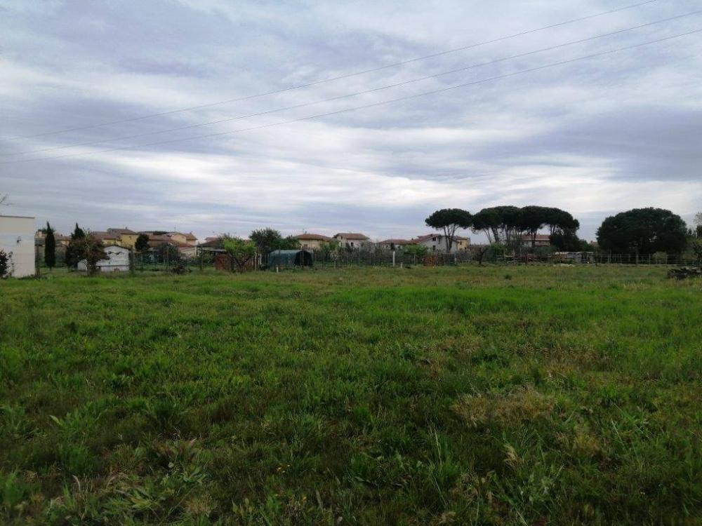 terreno agricolo in vendita a Casciana Terme Lari
