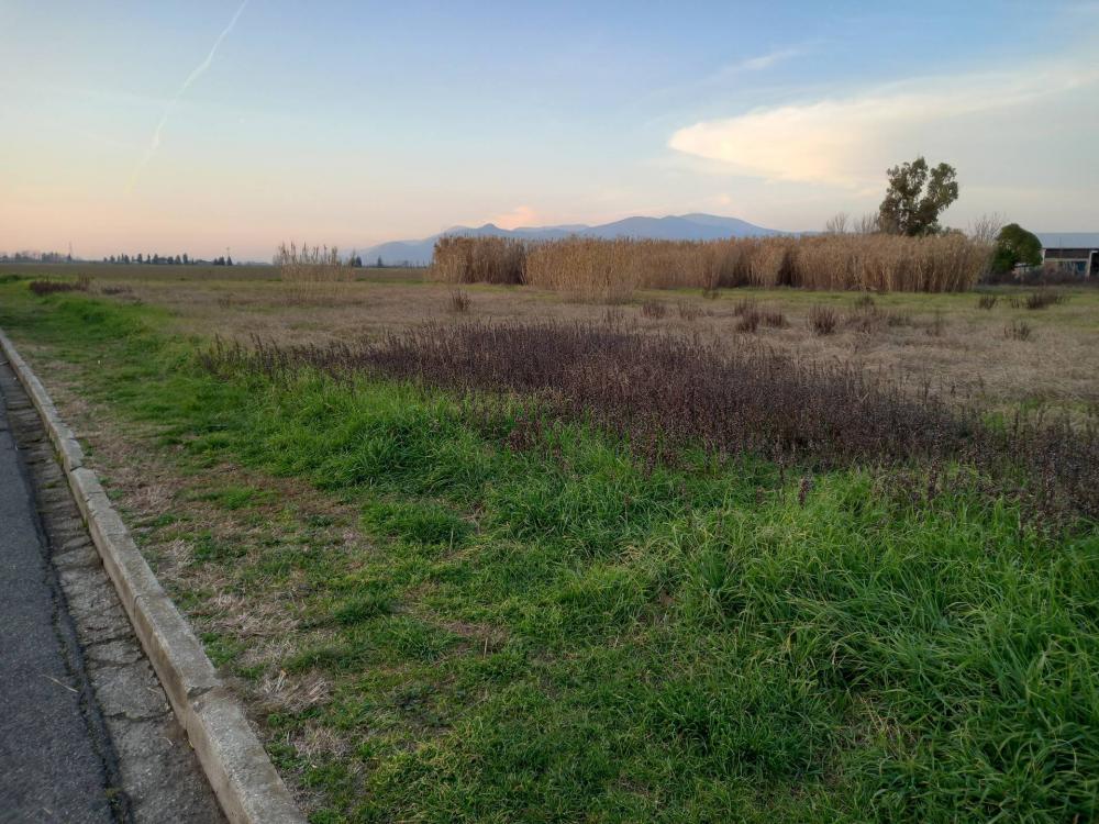 Terreno agricolo in vendita a Casciana Terme Lari - Terreno agricolo in vendita a Casciana Terme Lari