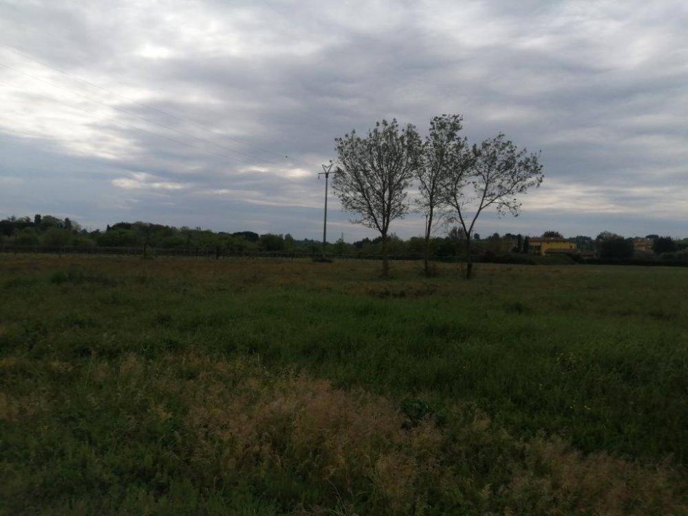 immagine annuncio 2 di 4