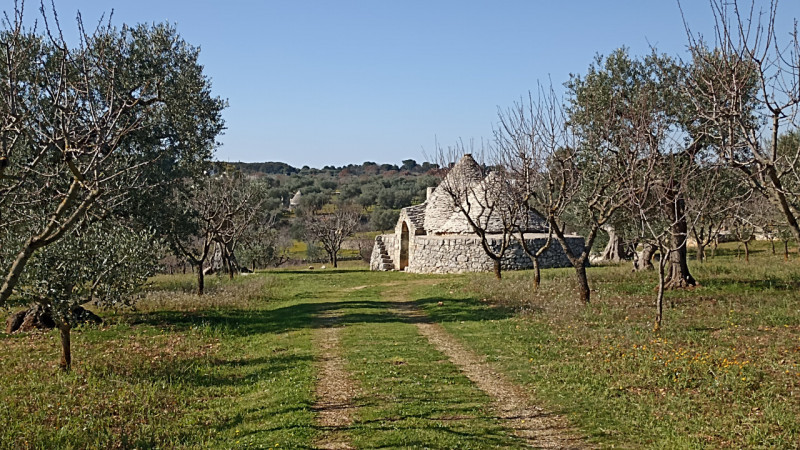 immagine annuncio 2 di 5
