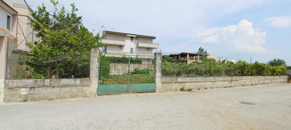 immagine annuncio 1 di 4