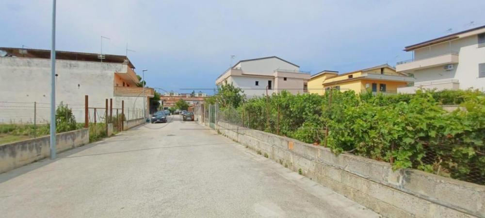 immagine annuncio 3 di 4