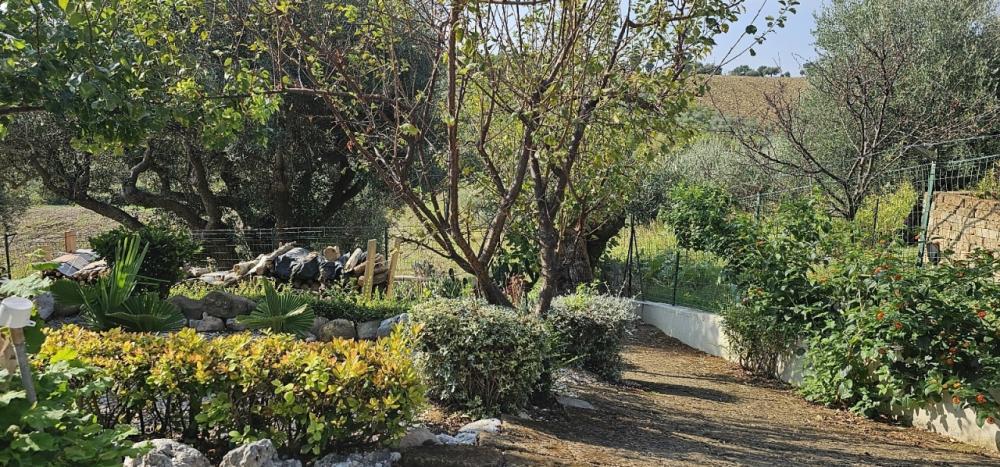 casa indipendente in vendita a Monsano