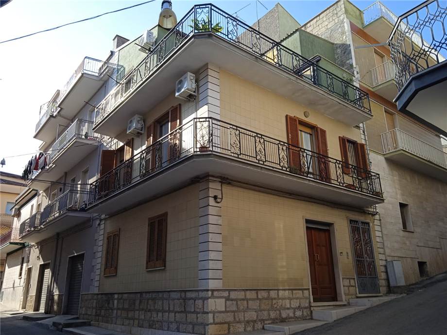 Casa plurilocale in affitto a San Nicandro Garganico - Casa plurilocale in affitto a San Nicandro Garganico