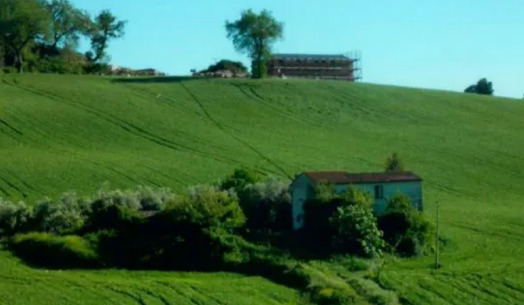 immagine annuncio 2 di 5