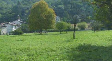 terreno agricolo in vendita a Castelnovo del Friuli