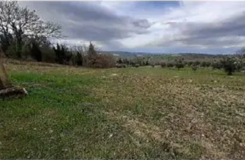 Terreno agricolo monolocale in vendita a falerone - Terreno agricolo monolocale in vendita a falerone