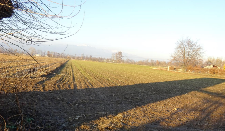 Terreno agricolo monolocale in vendita a loria - Terreno agricolo monolocale in vendita a loria