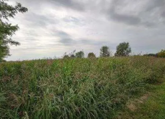 terreno agricolo in vendita a Orzinuovi