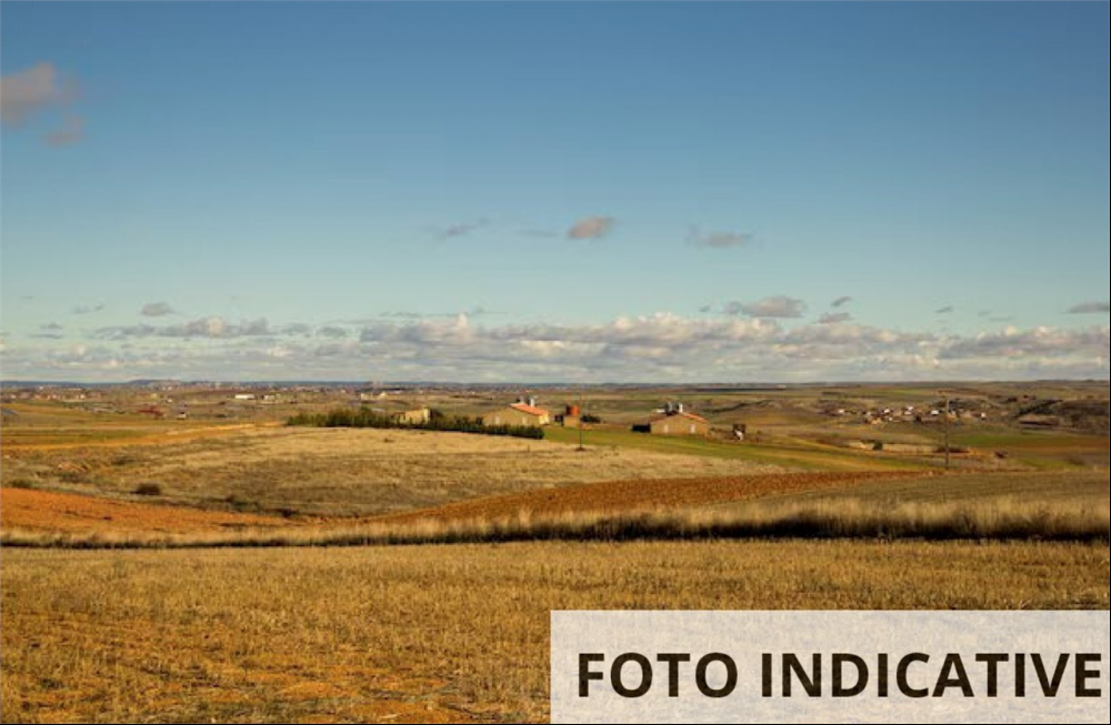 Terreno agricolo monolocale in vendita a terre-del-reno - Terreno agricolo monolocale in vendita a terre-del-reno