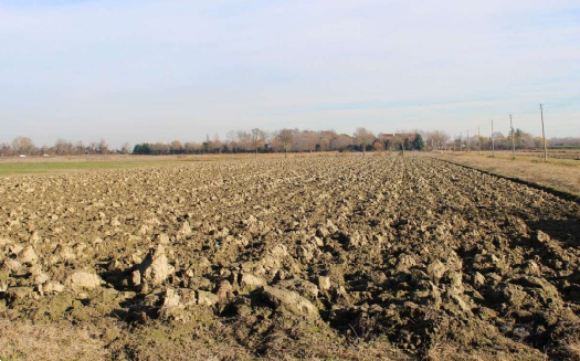 Terreno agricolo monolocale in vendita a venezia - Terreno agricolo monolocale in vendita a venezia