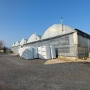 Azienda agricola plurilocale in vendita a pradamano