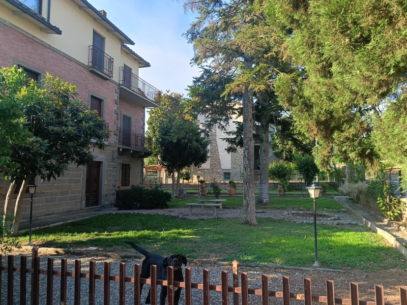 casa indipendente in vendita a Città della Pieve in zona Moiano